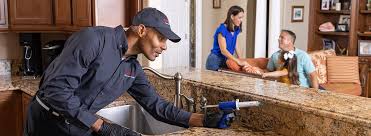 Emergency Pest Control in Balcones Heights, TX